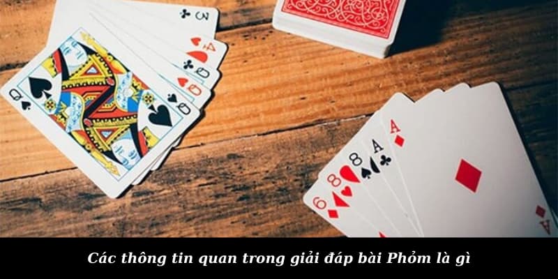 Các thông tin quan trong giải đáp bài Phỏm là gì